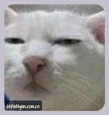 刘阳